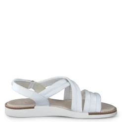 Ronnie Sandal