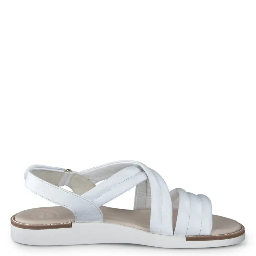 Ronnie Sandal
