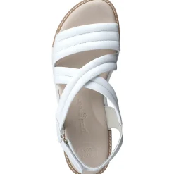 Ronnie Sandal