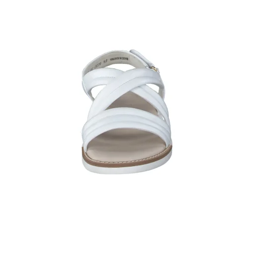 Ronnie Sandal