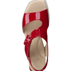 Tanya Sandal