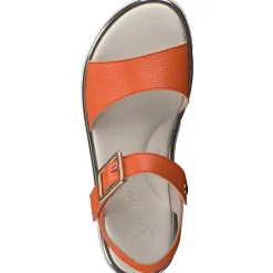 Toby Sandal