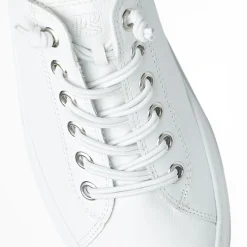 White Hadley Sneaker Laces
