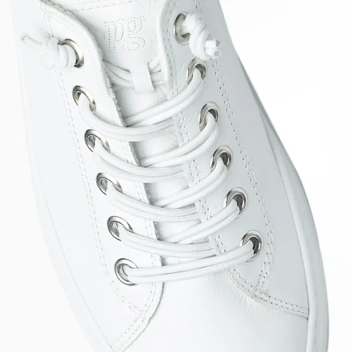 White Hadley Sneaker Laces